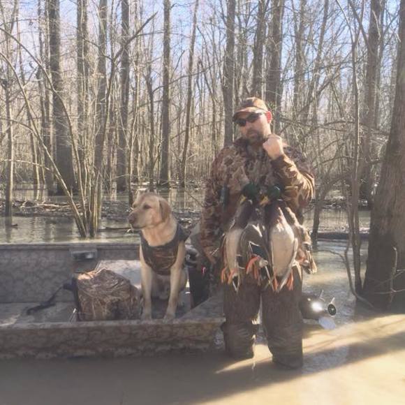 Meet your Posher, Oscar - Picture 1 of 1